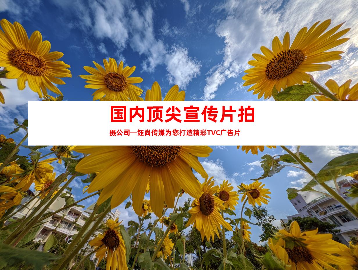 苏州国内顶尖宣传片拍摄公司—钰尚传媒为您打造精彩TVC广告片