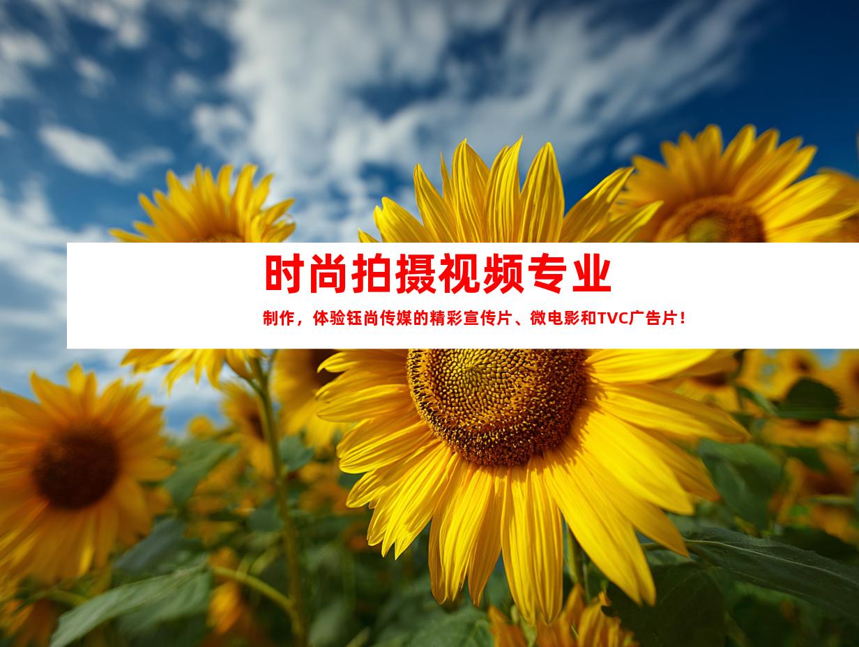 苏州时尚拍摄视频专业制作，体验钰尚传媒的精彩宣传片、微电影和TVC广告片！