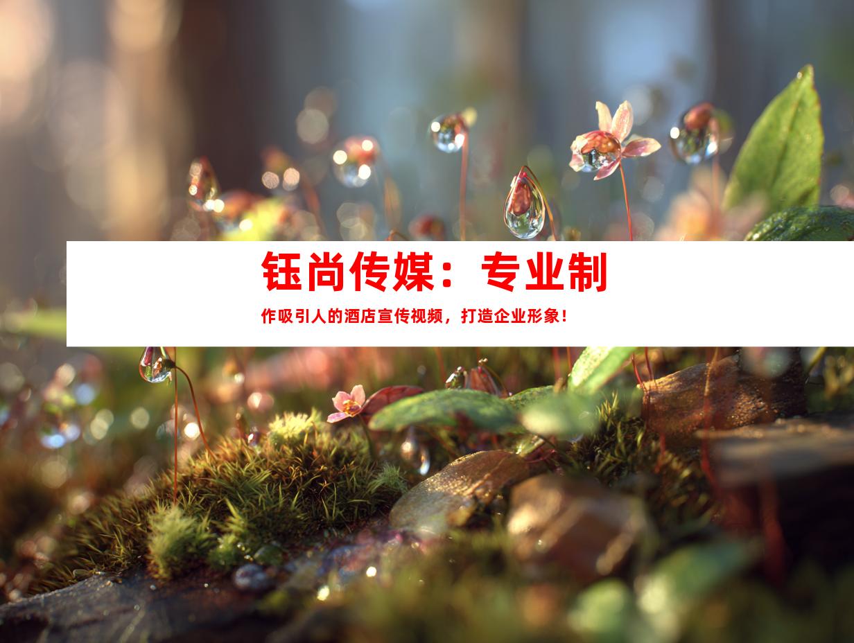 苏州钰尚传媒：专业制作吸引人的酒店宣传视频，打造企业形象！