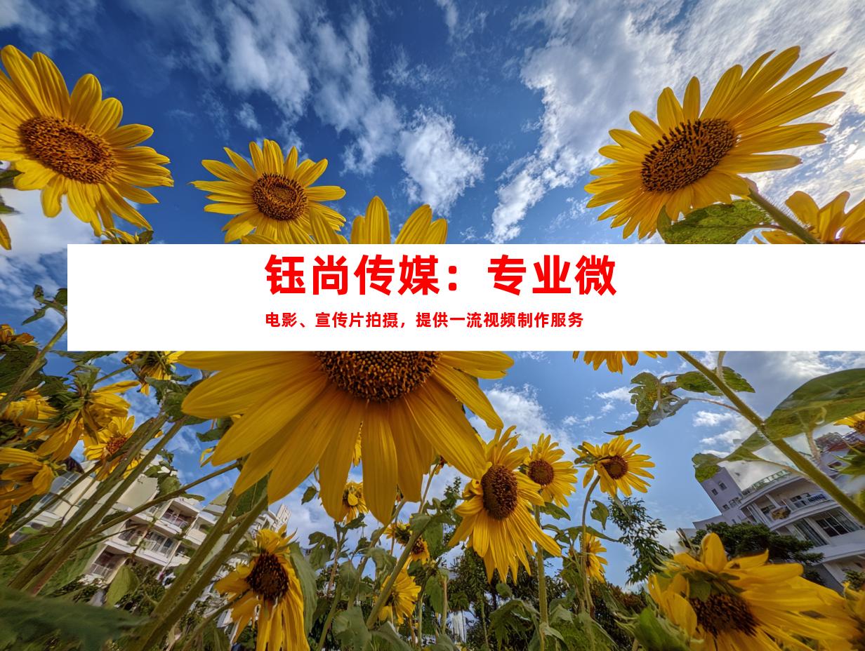 苏州钰尚传媒：专业微电影、宣传片拍摄，提供一流视频制作服务