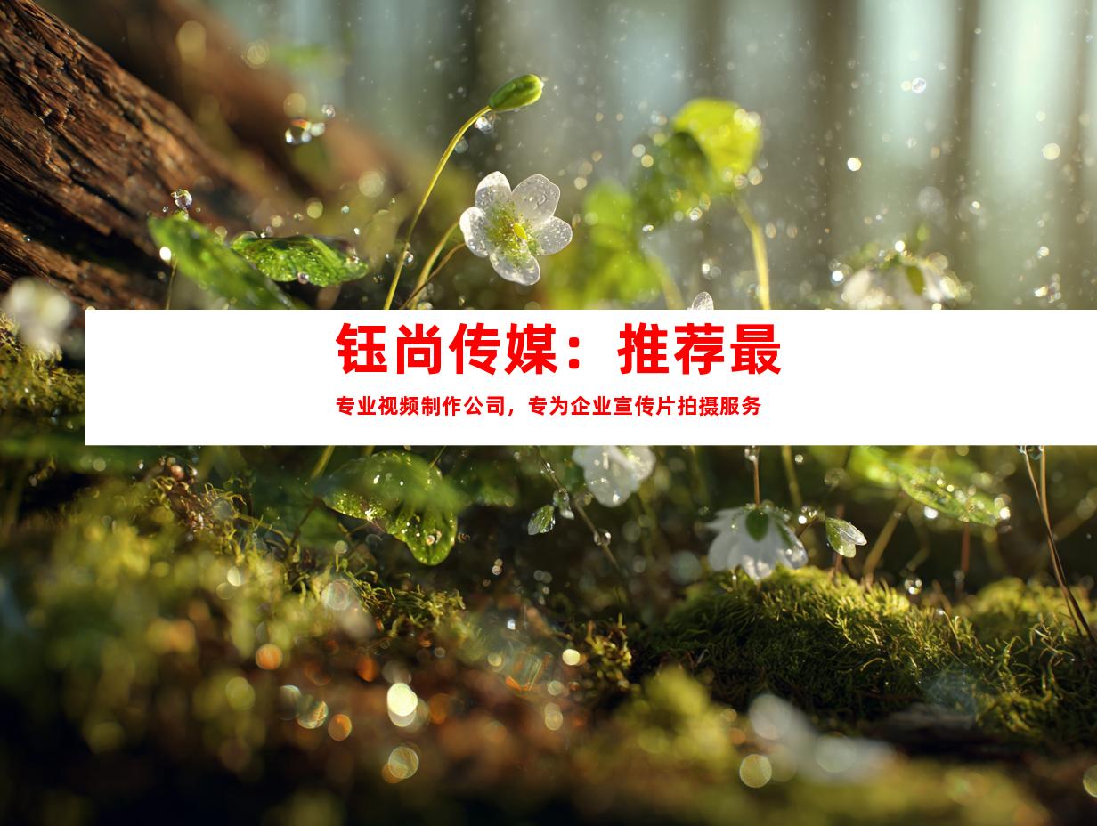 苏州钰尚传媒：推荐最专业视频制作公司，专为企业宣传片拍摄服务
