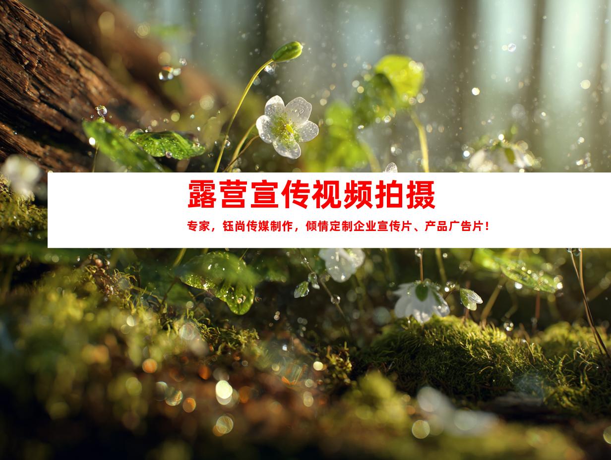 苏州露营宣传视频拍摄专家，钰尚传媒制作，倾情定制企业宣传片、产品广告片！