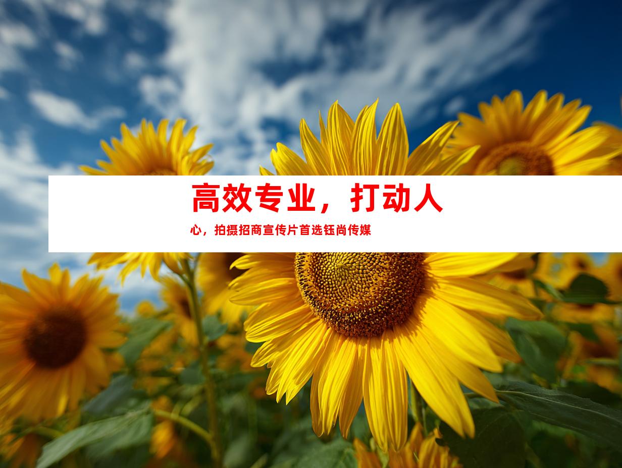 苏州高效专业，打动人心，拍摄招商宣传片首选钰尚传媒