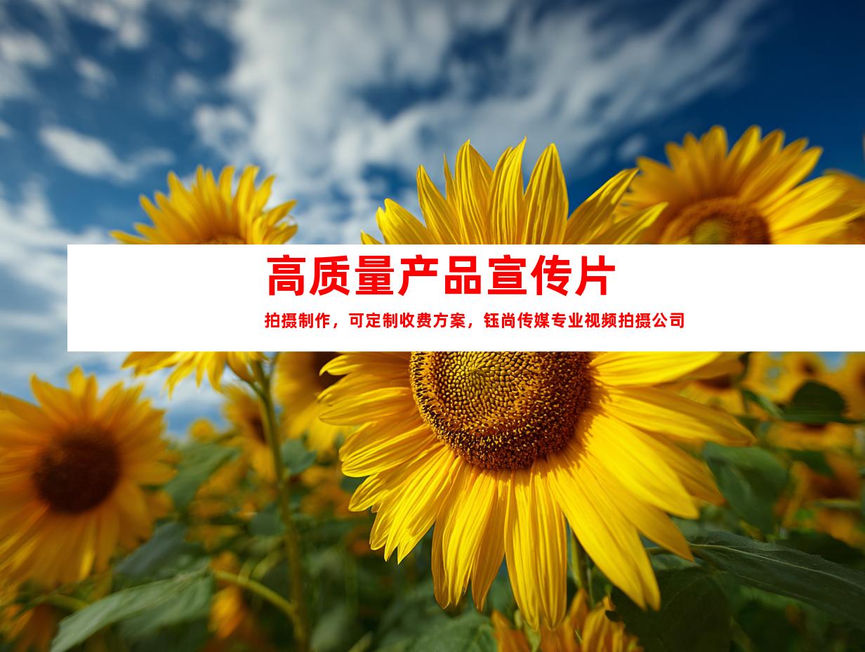 苏州高质量产品宣传片拍摄制作，可定制收费方案，钰尚传媒专业视频拍摄公司